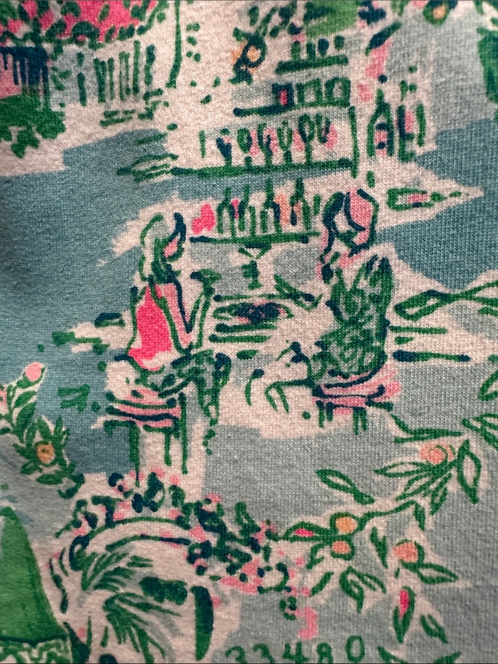 Lilly Pulitzer Lilly Loves Palm Beach  skipper pop over - Picture 4 of 4
